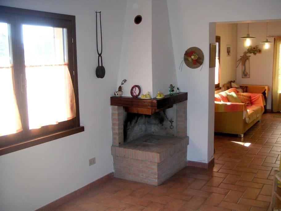 Casa Belvedere -Tranquillita Tra Bosco E Ulivi- Riparbella Ngoại thất bức ảnh