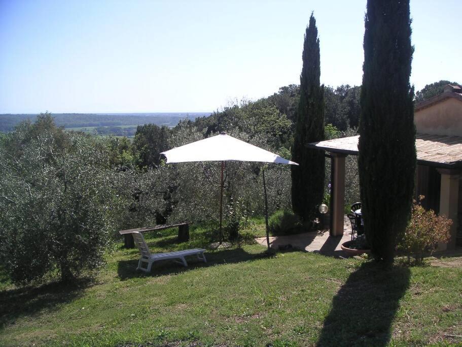 Casa Belvedere -Tranquillita Tra Bosco E Ulivi- Riparbella Ngoại thất bức ảnh