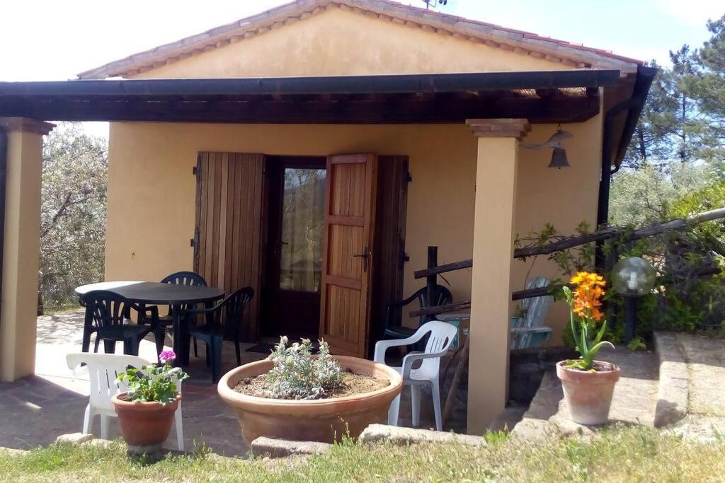 Casa Belvedere -Tranquillita Tra Bosco E Ulivi- Riparbella Ngoại thất bức ảnh