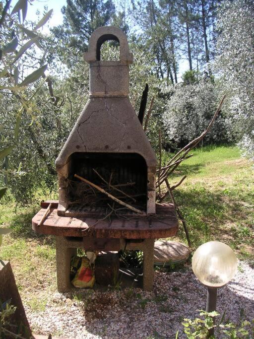 Casa Belvedere -Tranquillita Tra Bosco E Ulivi- Riparbella Ngoại thất bức ảnh