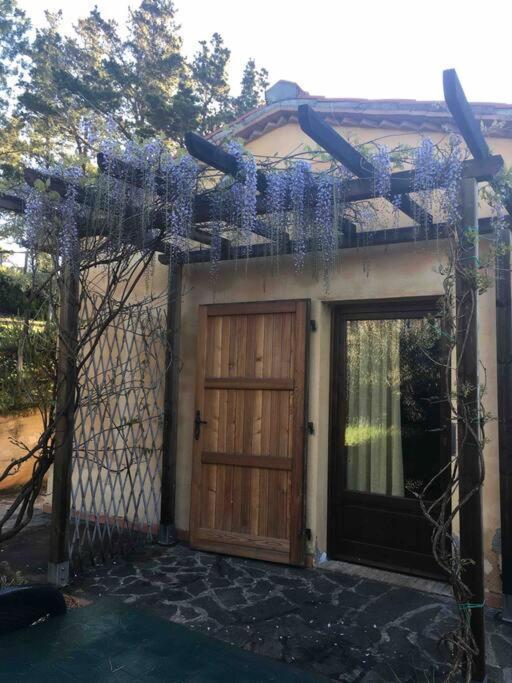 Casa Belvedere -Tranquillita Tra Bosco E Ulivi- Riparbella Ngoại thất bức ảnh